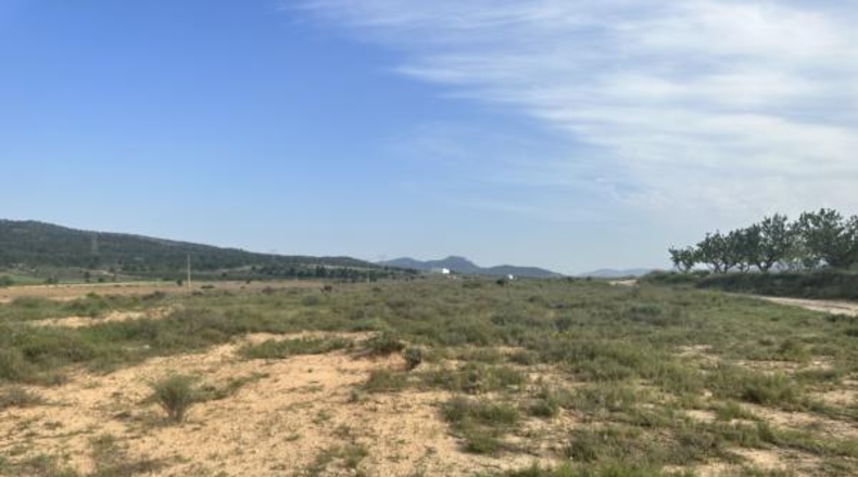 Alicante - Salinas - 69000m2