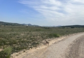 Non-developable land for sale on España, Salinas, ref: TR123598 photo