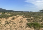 Non-developable land for sale on España, Salinas, ref: TR123598 photo