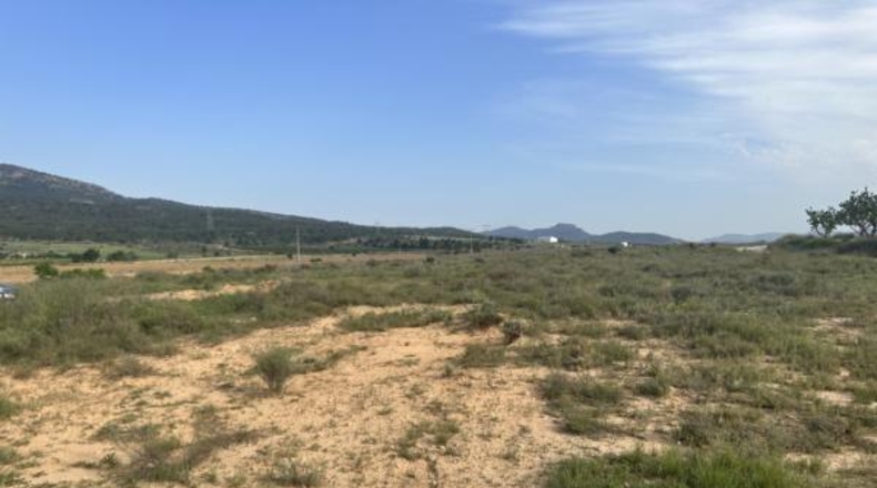 Alicante - Salinas - 69000m2