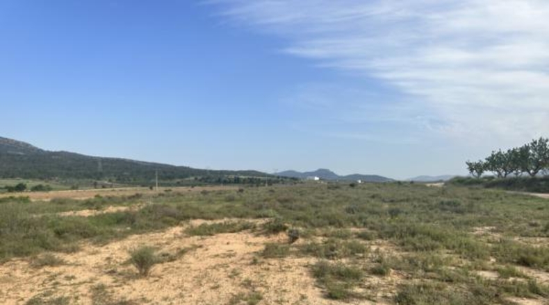 Alicante - Salinas - 69000m2