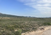 Non-developable land for sale on España, Salinas, ref: TR123598 photo