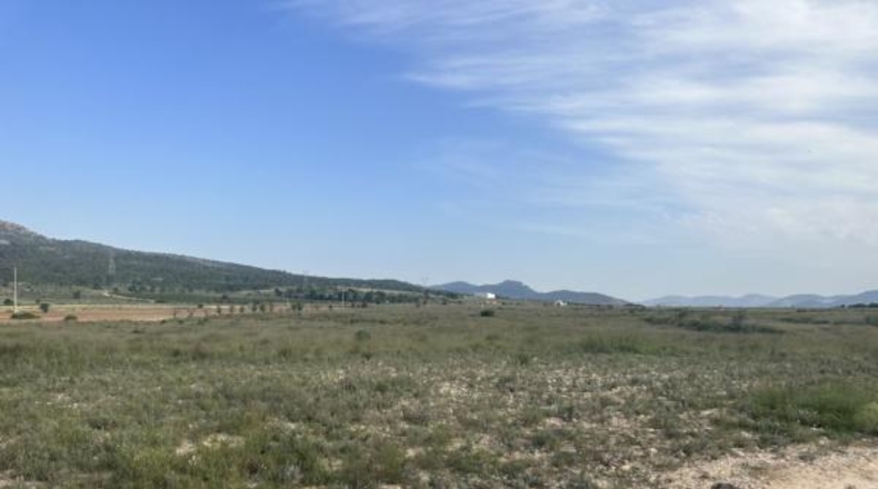 Alicante - Salinas - 69000m2