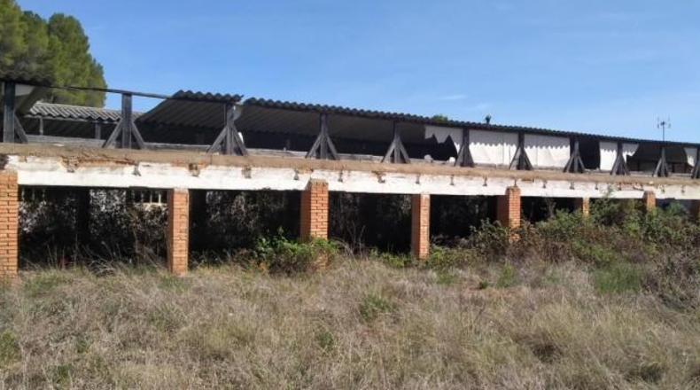 Zaragoza - Paracuellos de Jiloca - 4342m2