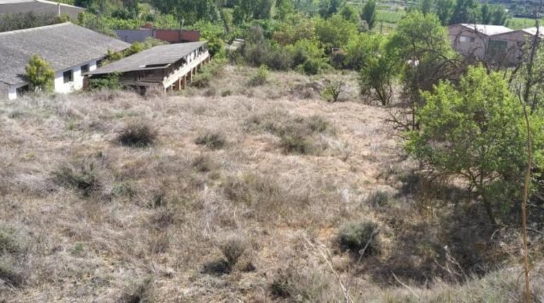 Zaragoza - Paracuellos de Jiloca - 4342m2