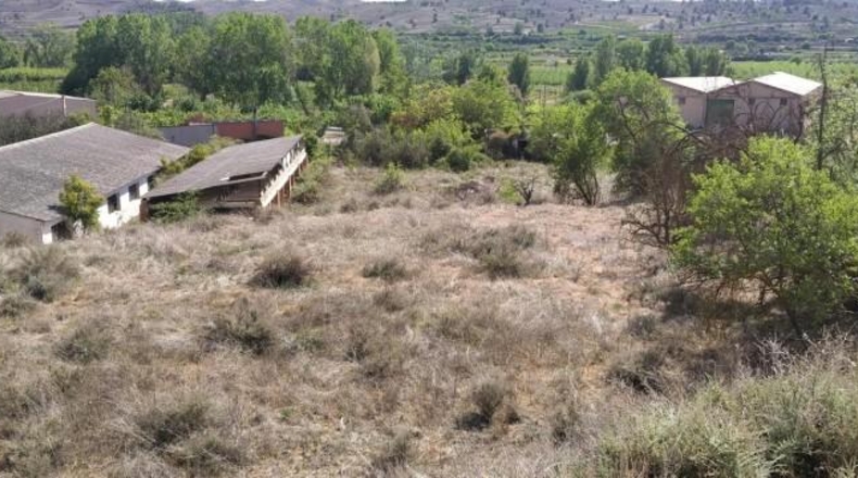 Zaragoza - Paracuellos de Jiloca - 4342m2