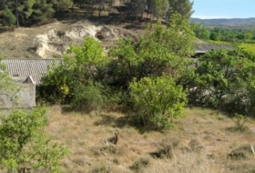 Foto 17