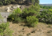 Non-developable land for sale on España, Paracuellos de Jiloca, ref: TR122513 photo