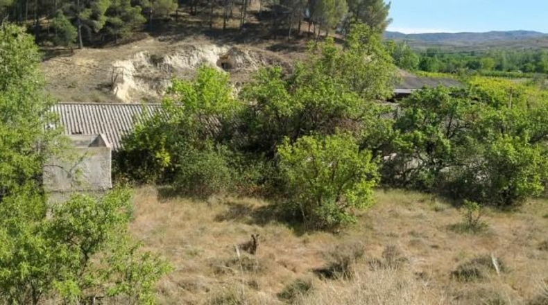 Zaragoza - Paracuellos de Jiloca - 4342m2