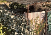 Загородный дом с участком на продажу в городе Totana Фото