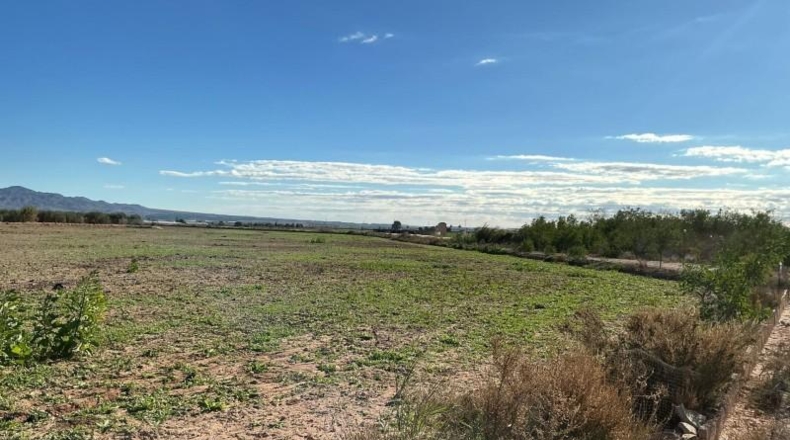 Мурсия - Totana - 41000m2