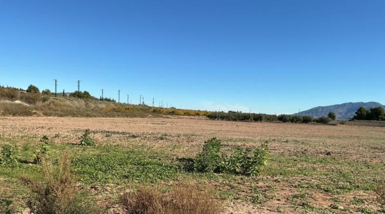 Мурсия - Totana - 41000m2