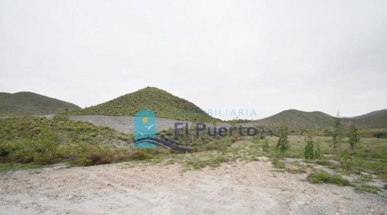 Múrcia - Cartagena - 49803m2