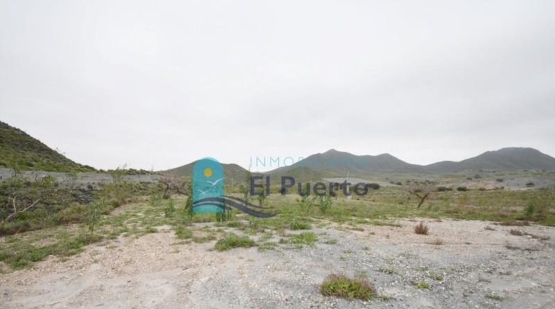 Múrcia - Cartagena - 49803m2