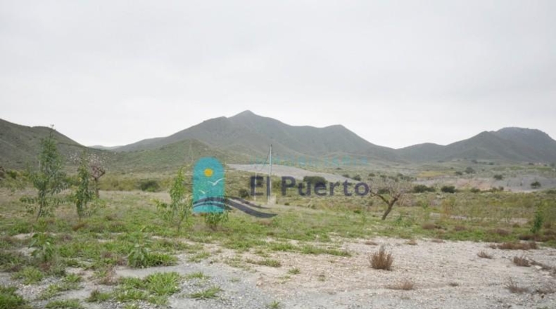 Múrcia - Cartagena - 49803m2