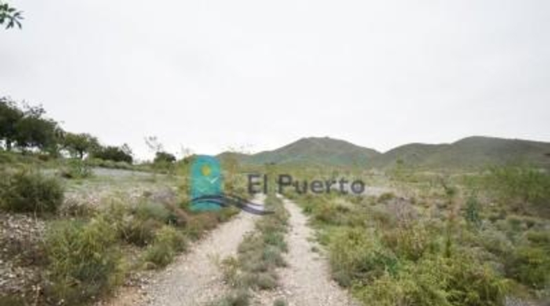 Múrcia - Cartagena - 49803m2