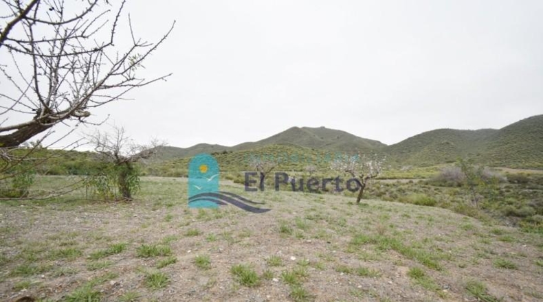 Múrcia - Cartagena - 49803m2