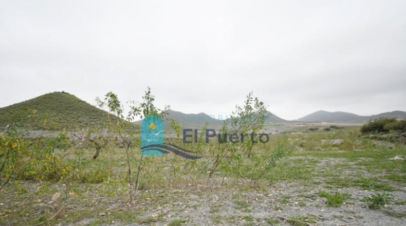 Múrcia - Cartagena - 49803m2