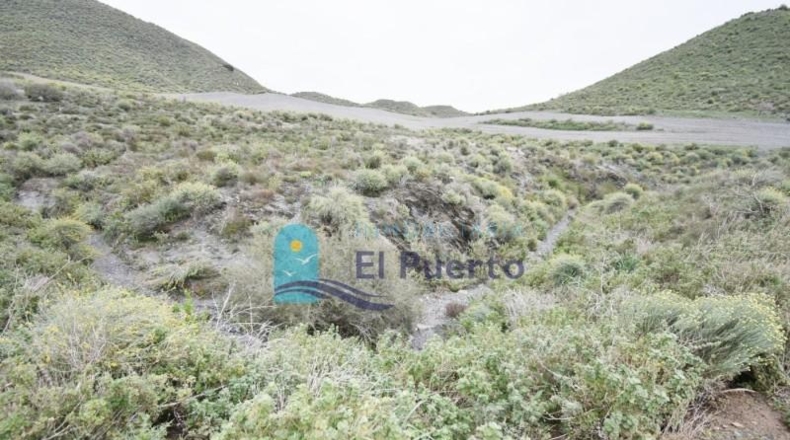 Múrcia - Cartagena - 49803m2