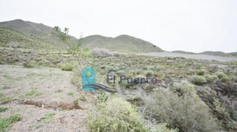 Múrcia - Cartagena - 49803m2