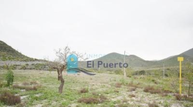 Múrcia - Cartagena - 49803m2