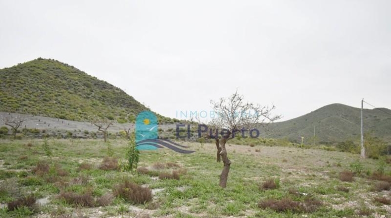 Múrcia - Cartagena - 49803m2