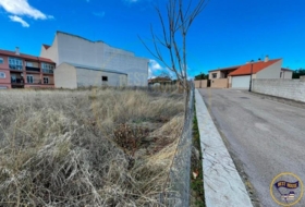 Arcas 981&nbsp;m²