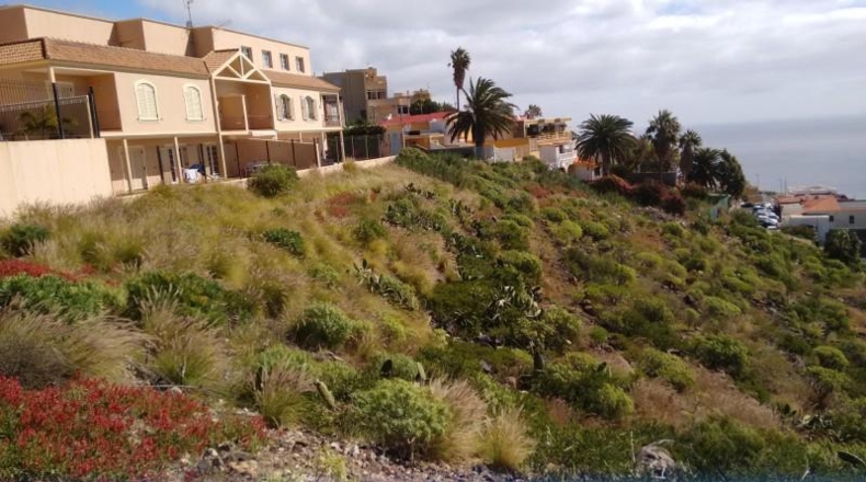Santa Cruz de Tenerife - Tabaiba - 390m2
