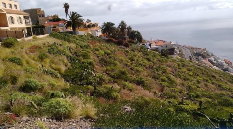 Santa Cruz de Tenerife - Tabaiba - 390m2