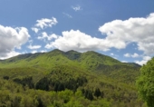 Sòl urbà en venda a la España, Viladrau, ref.: TR127844 foto