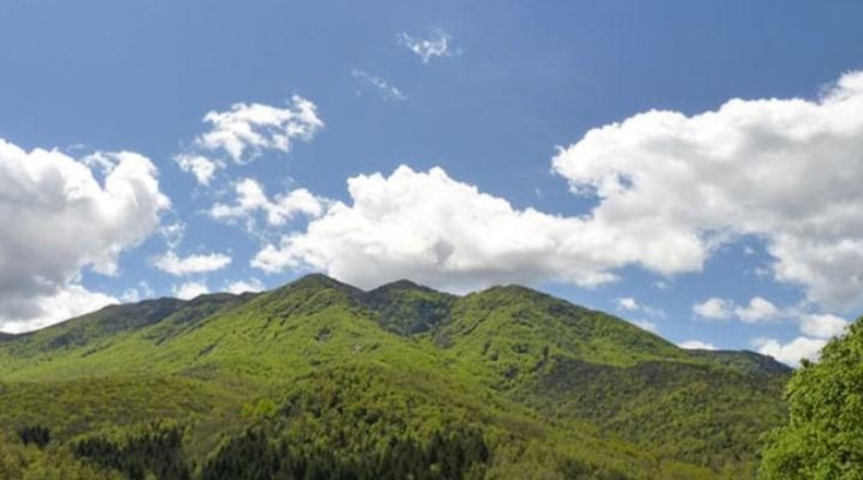 Gerona - Viladrau - 1442m2