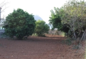 Sòl urbà en venda a la España, Tacoronte, ref.: TR131052 foto