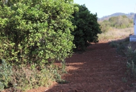 Tacoronte 5220&nbsp;m² 