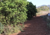 Sòl urbà en venda a la España, Tacoronte, ref.: TR131052 foto