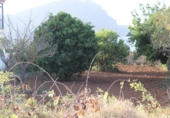 Sòl urbà en venda a la España, Tacoronte, ref.: TR131052 foto