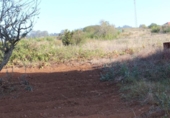 Sòl urbà en venda a la España, Tacoronte, ref.: TR131052 foto