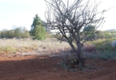 Sòl urbà en venda a la España, Tacoronte, ref.: TR131052 foto
