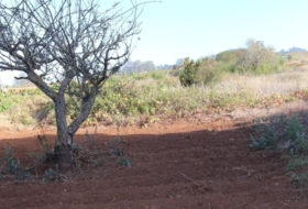 Tacoronte 5220&nbsp;m² 
