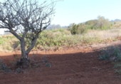 Sòl urbà en venda a la España, Tacoronte, ref.: TR131052 foto