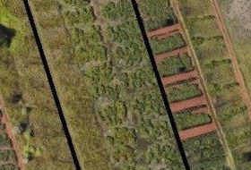 Tacoronte 5220&nbsp;m² 