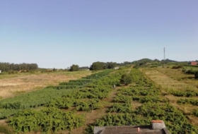 Tacoronte 5220&nbsp;m² 