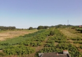 Sòl urbà en venda a la España, Tacoronte, ref.: TR131052 foto