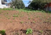 Sòl urbà en venda a la España, Tacoronte, ref.: TR131052 foto