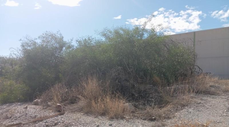 Murcia - Lorca - 1250m2