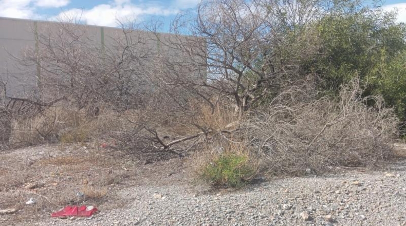 Murcia - Lorca - 1250m2