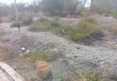 Sòl urbà en venda a la España, Lorca, ref.: TR174969 foto