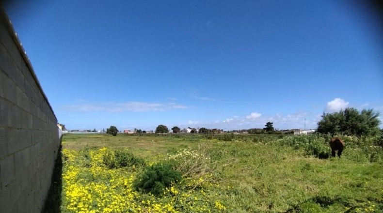 Cadiz - Chipiona - 1950m2