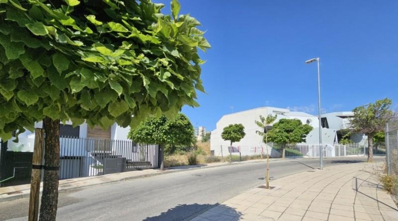 Jaén - Cambil - 300m2
