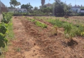 Terreny no urbanitzable en venda a la España, Sanlúcar de Barrameda, ref.: TR172023 foto