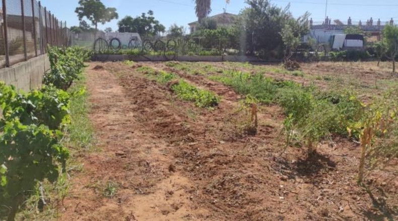 Cádiz - Sanlúcar de Barrameda - 1800m2
